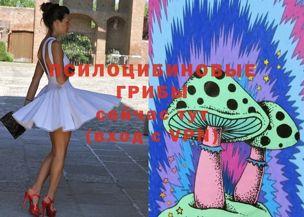 дживик Протвино