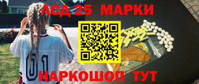 мяу мяу мука Хасавюрт