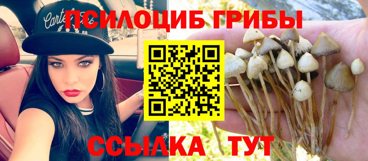 Галлюциногенные грибы GOLDEN TEACHER  Вход с VPN  Кашира 